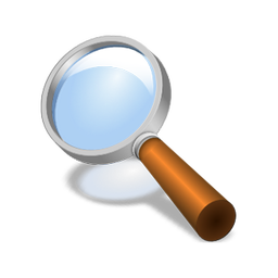 Magnifier + Flashlight