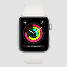 Apple watch series 3 guide best sale