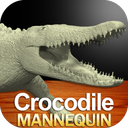 Crocodile Mannequin
