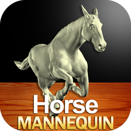 Horse Mannequin