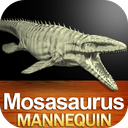 Mosasaurus Mannequin