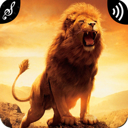 Lion Sounds