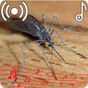 Mosquito Sounds Ringtone