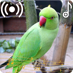 Parrot Sounds Ringtone