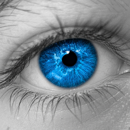 Color Touch Effects
