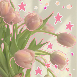 Wallpaper Aesthetic 4k