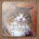 Cat Puzzle Game