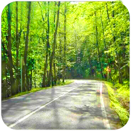 تمام نقاط دیدنی شمال