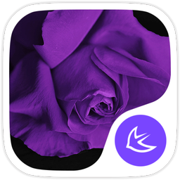 Purple Flower theme for APUS