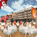 Poultry Farming  Transport Truck Driver 19