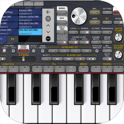 Org piano on sale