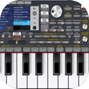 Piano ORG 2024