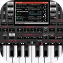 Real Piano Master 2024