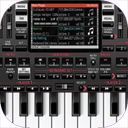 Real Piano Master 2024