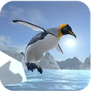 Arctic Penguin