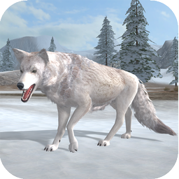 Arctic Wolf