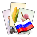 Russian Flash Cards