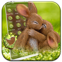 Rabbit Love Theme Launcher