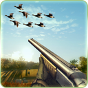 Wild Duck Hunting 2024