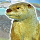 Otter Friends