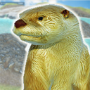 Otter Friends