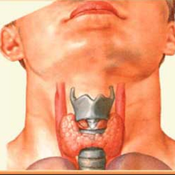 بیماری های غده تیروئید