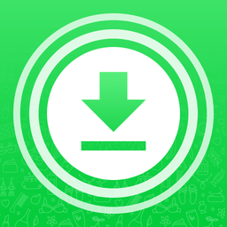 Save Video Status for WhatsApp
