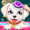 Labrador Puppy Spa Daycare