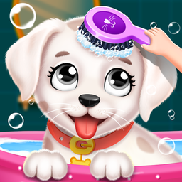 Labrador Puppy Spa Daycare