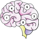 Brain Memory Exercise