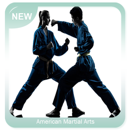 American Martial Arts