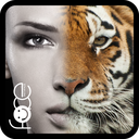 Beauty Face Plus : face morph