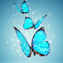 Butterfly Wallpapers