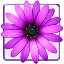 گل تو گوشی