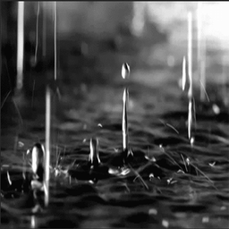Drop water rain