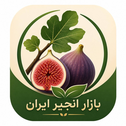 بازار انجیر ایران
