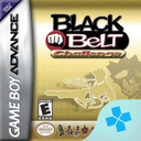 Black Belt Challenge