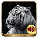Animal Ringtones 200