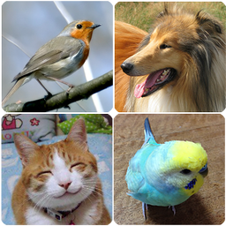 Animal Sounds (Bird,Dog,Cat)