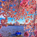 پیش به سوی بهشت