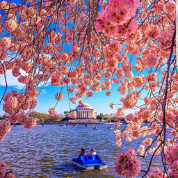 پیش به سوی بهشت