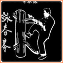 learn wing chun