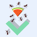 Ant Hunting Watermelon