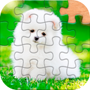 Jigsaw Puzzle Game - Puzzles