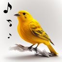 Bird Calls, Sounds & Ringtones