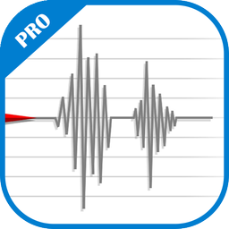 Seismometer Vibration Meter