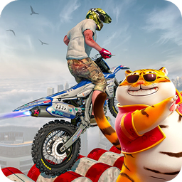 Lucky Tiger Go Bike