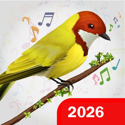 Birds Sounds & Birds Ringtones