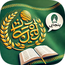 Punjabi Shahmukhi Translator