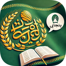 Punjabi Shahmukhi Translator